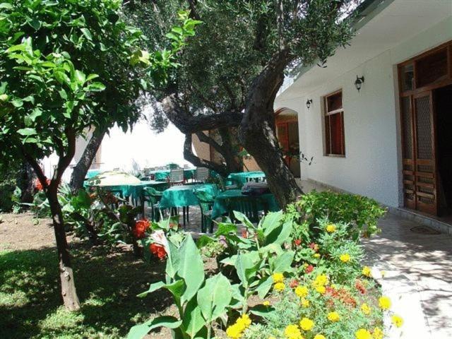 Pension Vice Gradac  Buitenkant foto